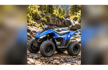 Linhai 110 EFI 2X4