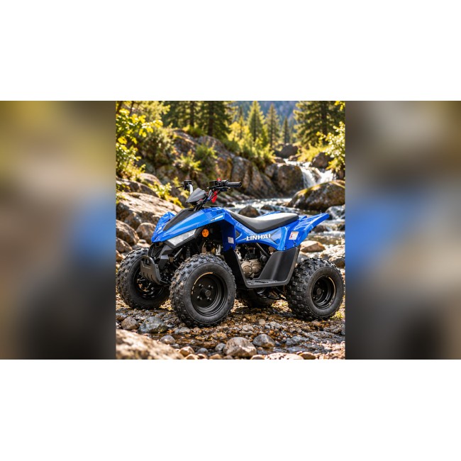 Linhai 110 EFI 2X4