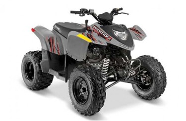Polaris Phoenix 200 Polaris Phoenix 200