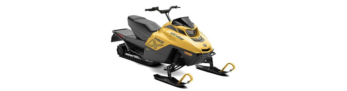 Snowmobile Ski-Doo