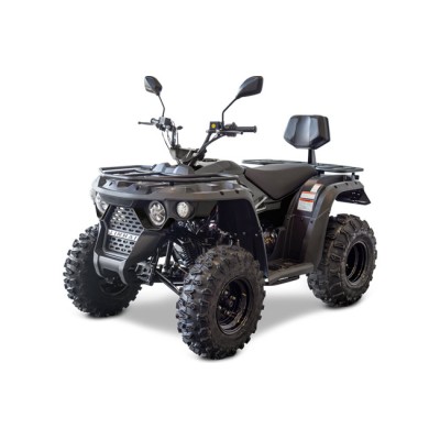 Linhai M210 EFI 2x4 T3