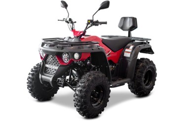 Linhai M210 EFI 2x4 T3 Linhai M210 EFI 2x4 T3