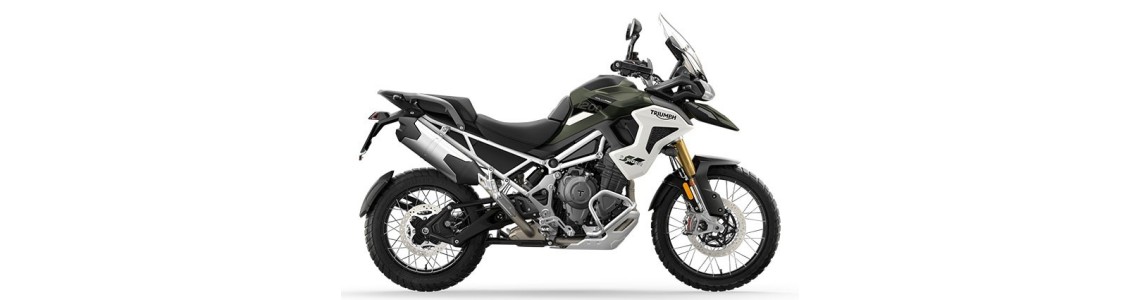 Motociclete Triumph