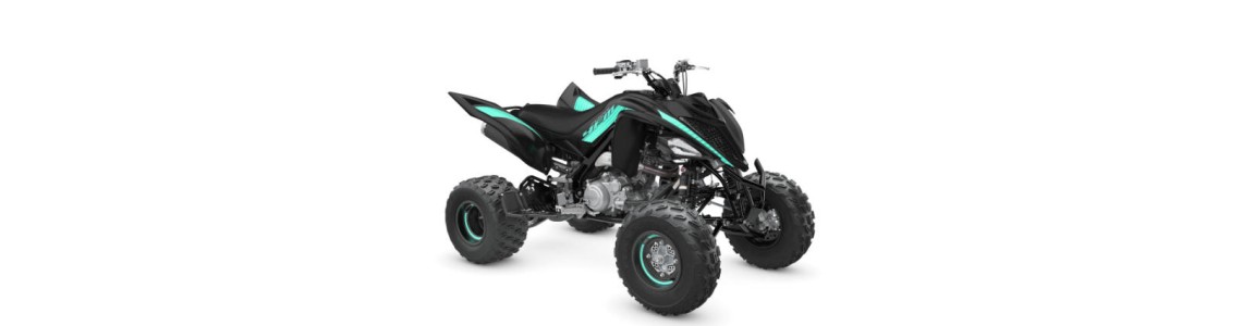 Quad Yamaha