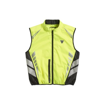 Vesta Triumph Bright