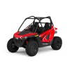 Polaris RZR 200 EFI