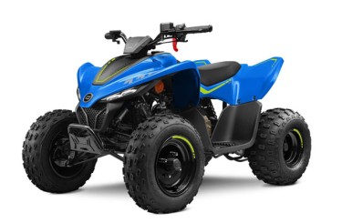 CFMOTO CFORCE 110