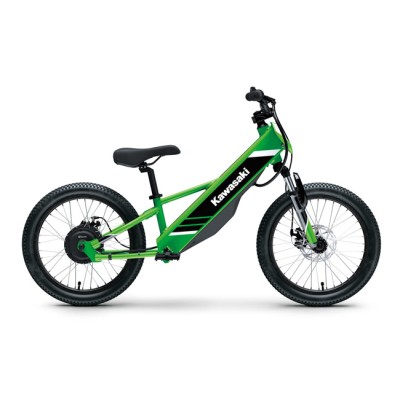 Kawasaki Elektrode 20