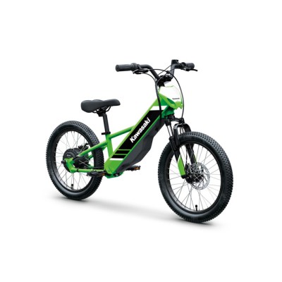 Kawasaki Elektrode 20