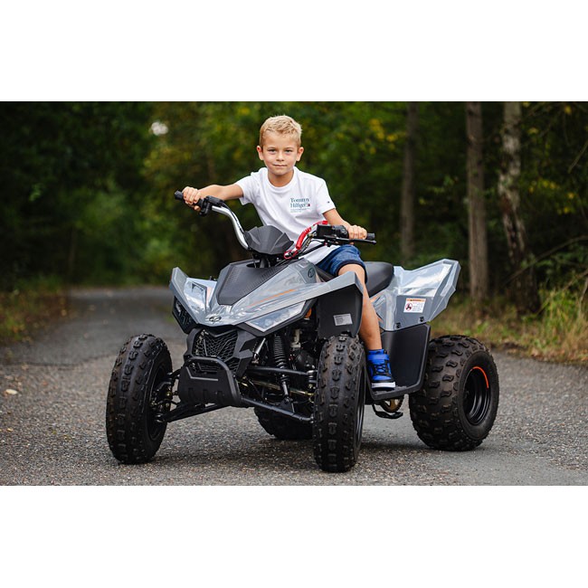 Linhai 110 EFI 2X4 Linhai 110 EFI 2X4