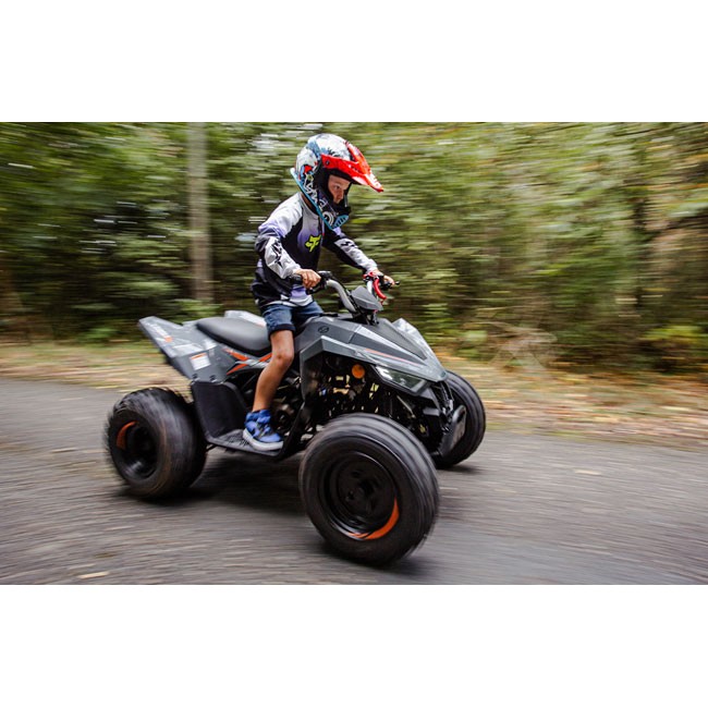 Linhai 110 EFI 2X4 Linhai 110 EFI 2X4
