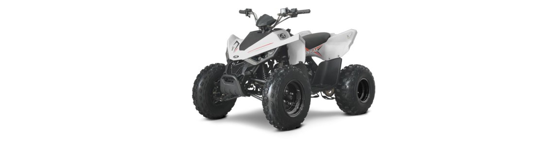 ATV Linhai ATV Linhai