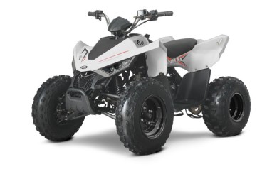 Linhai 110 EFI 2X4 Linhai 110 EFI 2X4