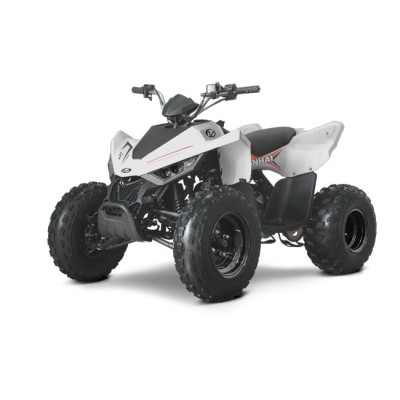 Linhai 110 EFI 2X4