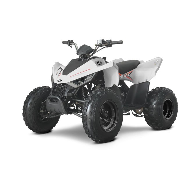 Linhai 110 EFI 2X4 Linhai 110 EFI 2X4