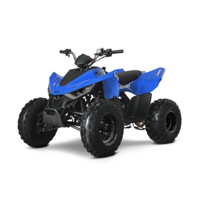 Linhai 110 EFI 2X4