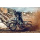 Triumph TF 250-E Triumph TF 250-E