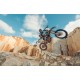 Triumph TF 450-E