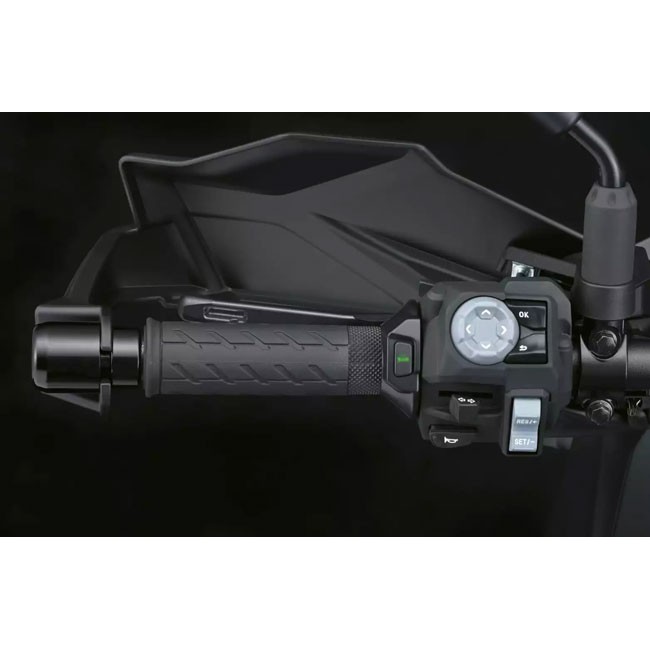 Suzuki GSX-S1000GX TRAVEL Plus PACKAGE