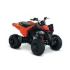 Can-Am DS 250
