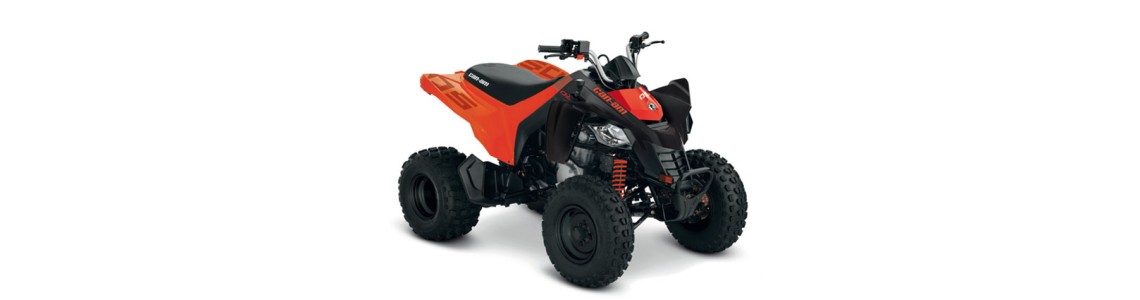 Quad Quad