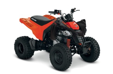 Can-Am DS 250 Can-Am DS 250
