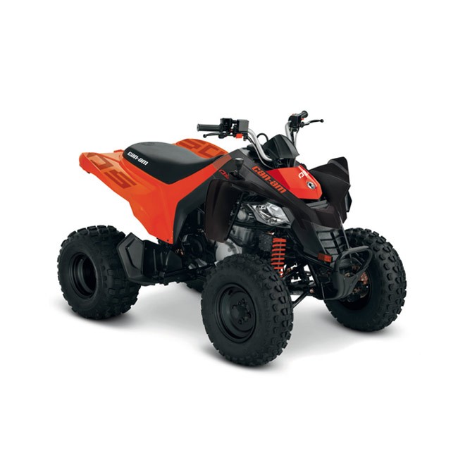 Can-Am DS 250 Can-Am DS 250