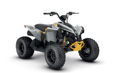 Can-Am Renegade 110 EFI Can-Am Renegade 110 EFI