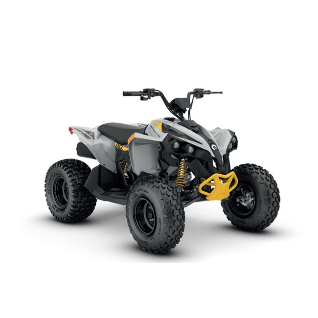 Can-Am Renegade 110 EFI