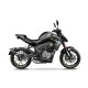 CFMOTO 300NK ABS CFMOTO 300NK ABS