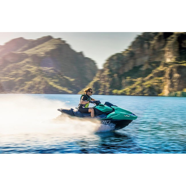 Kawasaki Ultra 310LX-S