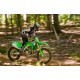 Kawasaki KX450X