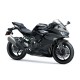 Kawasaki NINJA ZX-4RR Kawasaki NINJA ZX-4RR