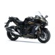 Kawasaki Ninja H2 SX