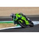Kawasaki Ninja ZX-10RR