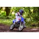 Yamaha TT-R110