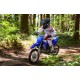 Yamaha TT-R110