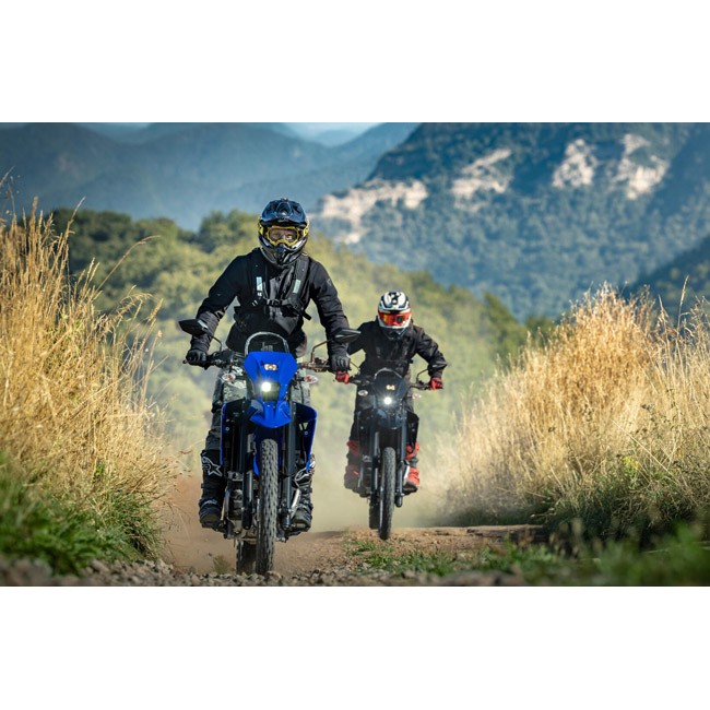Yamaha WR125R