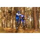 Yamaha WR450F
