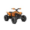 Can-Am Renegade 110 EFI XXC