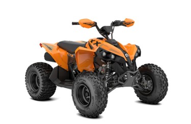 Can-Am Renegade 110 EFI XXC
