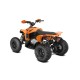 Can-Am Renegade 110 EFI XXC