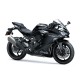 Kawasaki NINJA ZX-4R