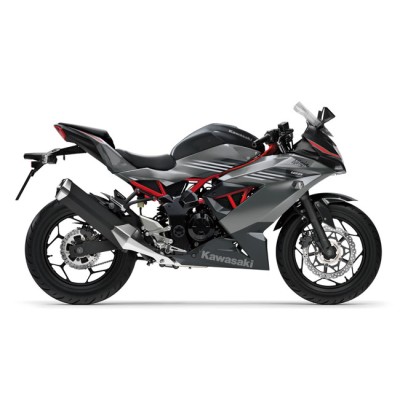 Kawasaki Ninja 125 ABS