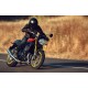 Kawasaki Z900RS SE