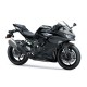 Kawasaki NINJA ZX-4RR