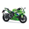 Kawasaki NINJA ZX-4RR