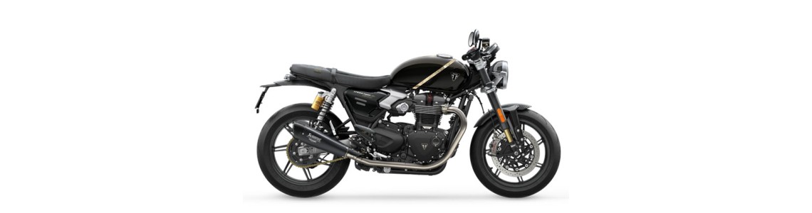 Motociclete Triumph