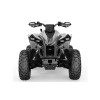 Bullbar fata X mr Can-Am Renegade