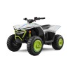CFMOTO CFORCE EV110 MY2024